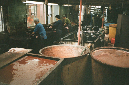 dorozome in Amami Oshima