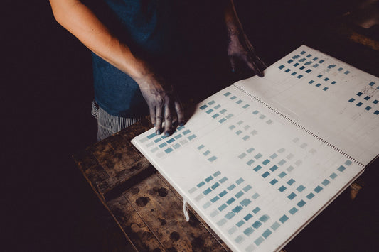 cultivating natural indigo in Tokushima